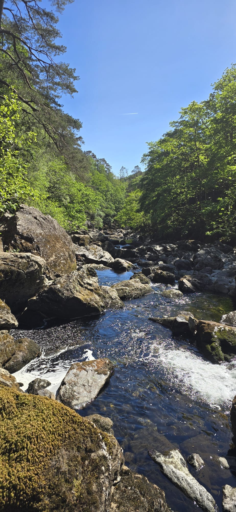 A woodland river gorge